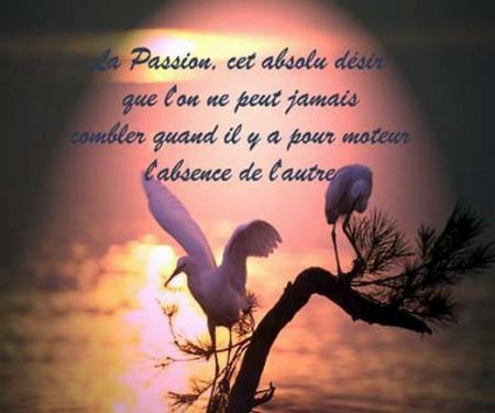 passion